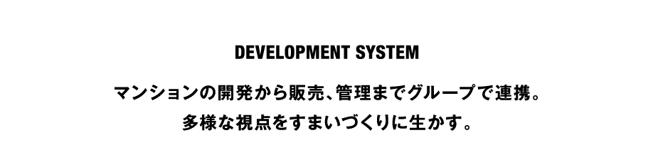 DEVELOPMENT SYSTEM